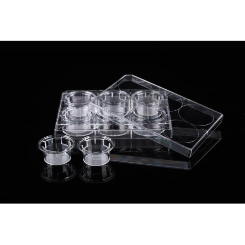 PET Memberane Cell Culture Inserts for 6well Plates China Manufacturer